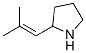 (-)-(9CI)-2-(2-甲基-1-丙烯基)-吡咯烷结构式_770735-40-5结构式