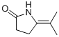 (9ci)-5-(1-甲基亚乙基)-2-吡咯烷酮结构式_81659-63-4结构式