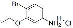 4-Bromo-3-ethoxyaniline hydrochloride Structure,846023-33-4Structure