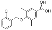4-(2-氯苄氧基)-3,5-二甲基苯硼酸结构式_849052-15-9结构式