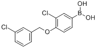 3-Chloro-4-(3-chlorobenzyloxy)phenylboronic acid Structure,849062-26-6Structure