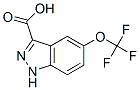 5-Trifluoromethoxyl-3-indazolecarboxylic acid Structure,869782-94-5Structure