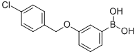 3-(4-Chlorobenzyloxy)phenylboronic acid Structure,870778-90-8Structure