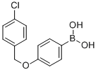 4-(4-Chlorobenzyloxy)phenylboronic acid Structure,870778-91-9Structure