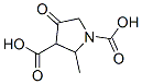 2-甲基-4-氧代-1,3-吡咯烷二羧酸结构式_875255-92-8结构式
