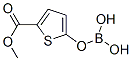 5-Methoxycarbonylthiophene-2-boronic acid Structure,876189-21-8Structure