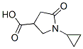 1-Cyclopropyl-5-oxopyrrolidine-3-carboxylic acid Structure,876716-43-7Structure