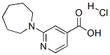 2-氮杂环庚烷-1-异烟酸盐酸盐结构式_885277-05-4结构式