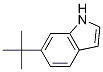 6-Tert-butyl-1h-indole Structure,887581-54-6Structure