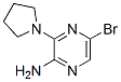 2-氨基-5-溴-3-吡咯烷-1-吡嗪结构式_893611-72-8结构式