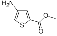4-氨基噻吩-2-羧酸甲酯结构式_89499-43-4结构式