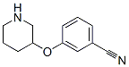 3-(哌啶-3-氧基)苯甲腈结构式_902836-93-5结构式