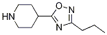 5-(哌啶-4-基)-3-丙基-1,2,4-噁二唑结构式_902837-03-0结构式