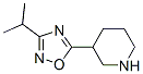 3-(3-异丙基-1,2,4-二唑-5-基)哌啶结构式_902837-19-8结构式