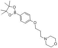 4-(3-Morpholinopropoxy)phenylboronic acid, pinacol ester Structure,910462-33-8Structure