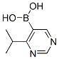 B-[4-(1-甲基乙基)-5-嘧啶]-硼酸结构式_913835-27-5结构式