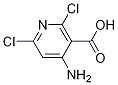 4-氨基-2,6-二氯烟酸结构式_929288-22-2结构式