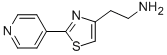 [2-(2-吡啶-4-基-1,3-噻唑-4-基)乙基]胺结构式_938283-17-1结构式
