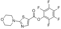 2-吗啉-1,3-噻唑-5-羧酸五氟苯酯结构式_941716-88-7结构式