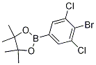 2-(4-Bromo-3,5-dichlorophenyl)-4,4,5,5-tetramethyl-1,3,2-dioxaborolane Structure,942069-45-6Structure