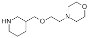 4-[2-(3-哌啶基甲氧基)乙基]吗啉结构式_946713-06-0结构式