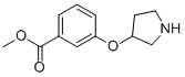 3-(吡咯烷-3-基氧基)-苯甲酸甲酯结构式_946715-41-9结构式
