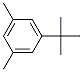 1-tert-Butyl-3,5-dimethylbenzene Structure,98-19-1Structure