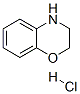 3,4-二氢-2H-1,4-苯并噁唑盐酸盐结构式_98491-38-4结构式