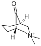 3,3-二甲基-9-氧代-3-氮杂双环[3.3.1]壬烷结构式_98656-80-5结构式