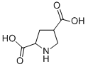 2,4-吡咯烷二羧酸结构式_99319-03-6结构式