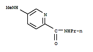 5-(甲基氨基)-n-丙基-2-吡啶羧酰胺结构式_204973-08-0结构式