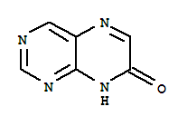 7(1H)-pteridinone (9ci) Structure,2432-27-1Structure