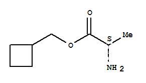 (9ci)-环丁基L-丙氨酸甲酯结构式_261909-76-6结构式