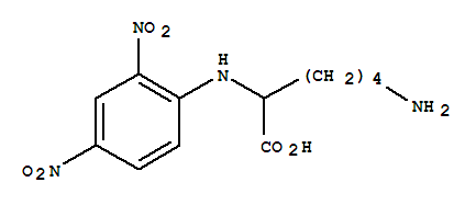 (S)-6-amino-2-(2,4-dinitro-phenylamino)-hexanoic acid Structure,3130-02-7Structure
