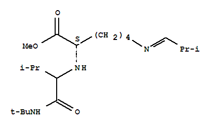 (9Ci)-N2-[1-[[(1,1-二甲基乙基)氨基]羰基]-2-甲基丙基]-N6-(2-甲基亚丙基)-l-赖氨酸甲酯结构式_343930-23-4结构式