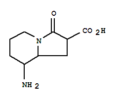 (9ci)-8-氨基八氢-3-氧代-2-吲哚嗪羧酸结构式_349101-84-4结构式