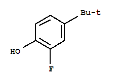 4-(1,1-二甲基乙基)-2-氟苯酚结构式_38946-63-3结构式