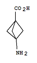 3-氨基双环[1.1.1]戊烷-1-羧酸结构式_406947-32-8结构式