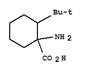1-氨基-2-叔丁基环己烷羧酸结构式_412924-89-1结构式