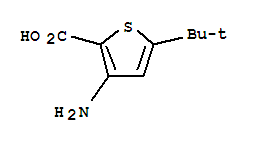 2-Thiophenecarboxylicacid,3-amino-5-(1,1-dimethylethyl)-(9ci) Structure,746671-67-0Structure