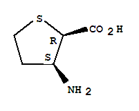 2-Thiophenecarboxylicacid,3-aminotetrahydro-,(2r,3s)-rel-(9ci) Structure,765242-80-6Structure