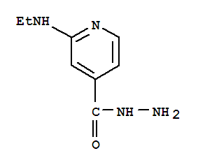 (9ci)-2-(乙基氨基)-4-吡啶羧酸肼结构式_77314-47-7结构式