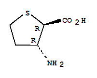 2-Thiophenecarboxylicacid,3-aminotetrahydro-,trans-(9ci) Structure,783276-61-9Structure