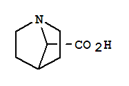 1-氮杂双环[2.2.1]庚烷-7-羧酸(9ci)结构式_792905-68-1结构式