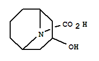 3-羟基-9-氮杂双环[3.3.1]壬烷-9-羧酸结构式_854733-35-0结构式