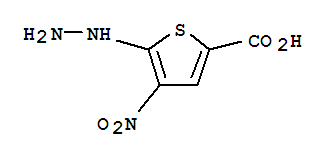 2-Thiophenecarboxylicacid,5-hydrazino-4-nitro-(7ci) Structure,88511-62-0Structure