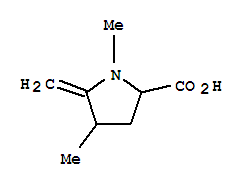 (7ci)-1,4-二甲基-5-亚甲基-脯氨酸结构式_90087-75-5结构式