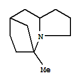 (9ci)-八氢-5-甲基-5,8-甲烷-1H-吡咯并[1,2-a]氮杂卓结构式_90307-28-1结构式