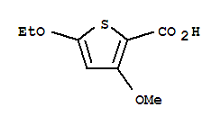 2-Thiophenecarboxylicacid,5-ethoxy-3-methoxy-(9ci) Structure,95202-08-7Structure