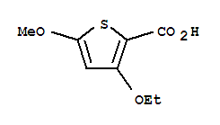 2-Thiophenecarboxylicacid,3-ethoxy-5-methoxy-(9ci) Structure,95202-11-2Structure